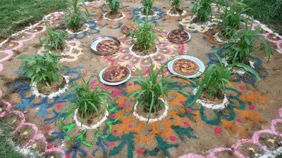 Palm Tree Mats