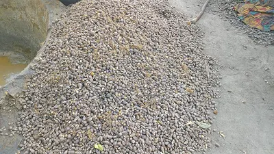 Watermarked Washed Natural Stone Gravel