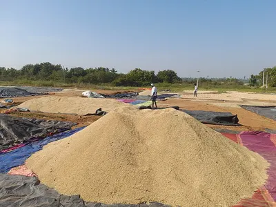 Marine Sand For Reclamation