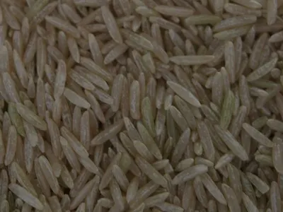 EU MRLs Cumin Seeds by Giva Agro