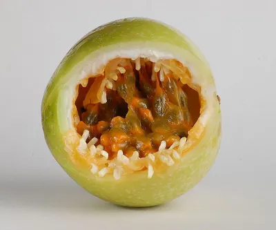 Apple - Fruit decoration by Pt Indo Mitra Bersama