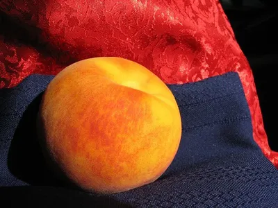 MANGO BEST CREAM PILLOW & CUSHION by Angie Homes
