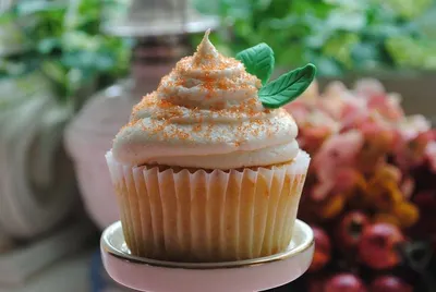 Chocolate Cupcake wholesale private private label available by Baker Secrets