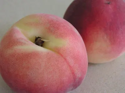 N/T peach skin by Wujiang Zhongheng Silk Co., Ltd