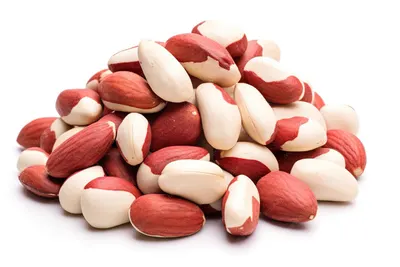 Wholesale Turkish Pistachio Nuts