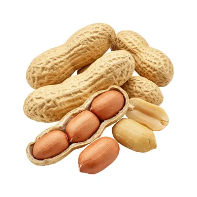 Peanuts