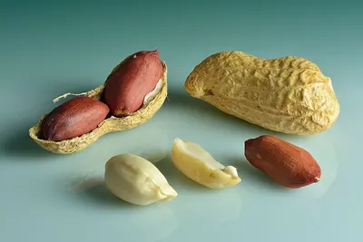 raw and roasted peanuts