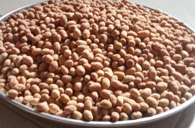 Frozen Dal Makhani