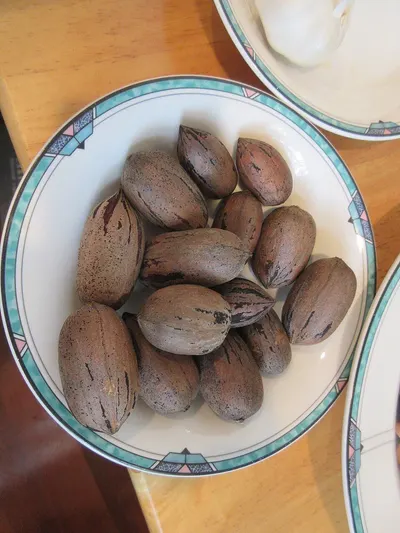 Nutmeg (Jaiphal) by DIVINE INTERNATIONAL