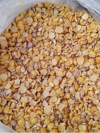 Yellow Corn Feed Grade