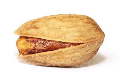 Bacoban Dl