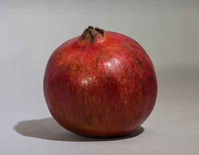 Onion Red Organic