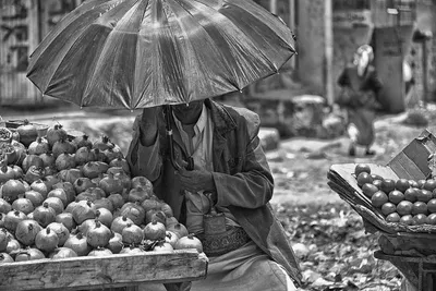 Pomegranates by Aslan Bayrak