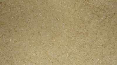 1121 Basmati Golden Rice