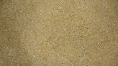 Rice T -IR 64