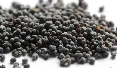 Black Pepper