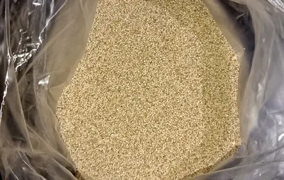 Sesame Seeds