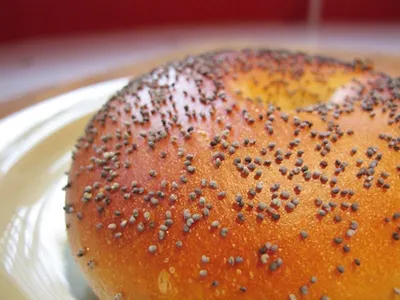 Sesame oil cake