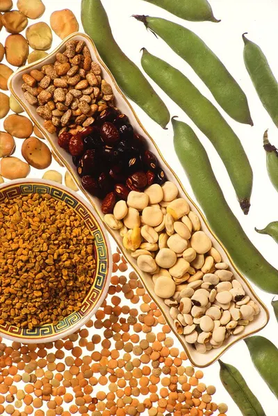 Soybean, Peas, Lentils, Beans, Mustard