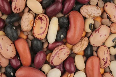 Fine Beans