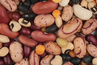 Organic Black Kidney Beans