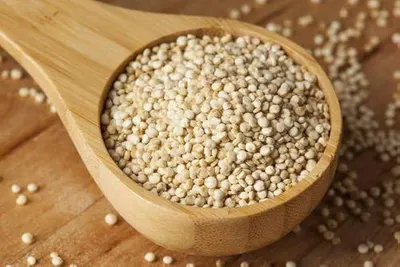 Sesame Seed
