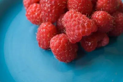 Raspberry Puree & Concentrate by SBH Foods Pvt. Ltd.