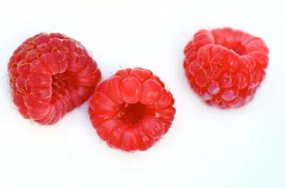 Common Raspberry, Fruit, Dried by Fito-export PE
