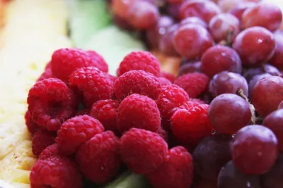 Antioxidant TNPP