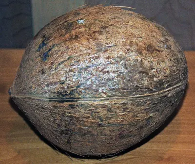 Globe by Labbaik International