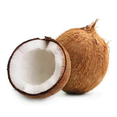 Polished - Coconut