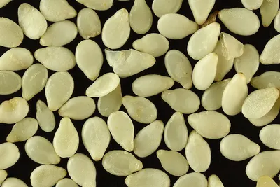 Blanched Peanuts 25/29
