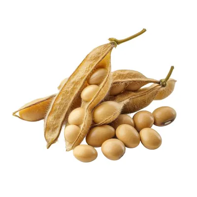 UBM Rosaria Peanut 170gr