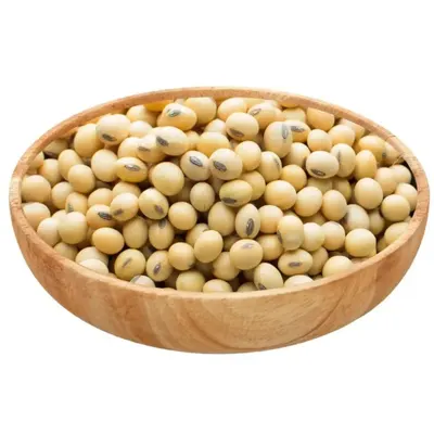 White Chickpeas - Image 3