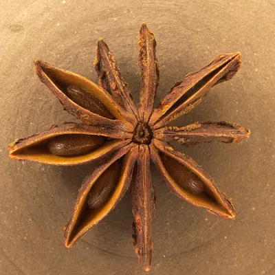Kigelia Africana by SPEARSON LIMITED