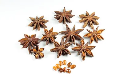 Star Anise Autumn