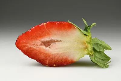 Pulp Fruit