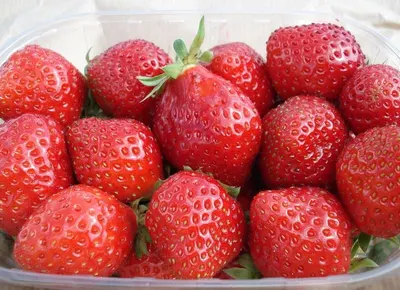 Strawbarry Flavour