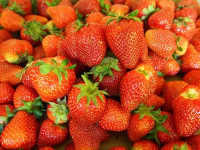 IQF Strawberriers by Namaskar SAC