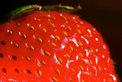 Myilove Strawberry Chip