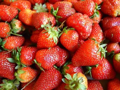 Pure Strawberries by Soupin Jean Stephane