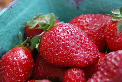 Fresh Start Oil Clear Strawberry Face Wash by Deccan Five
