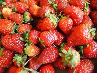 Fresh Strawberry