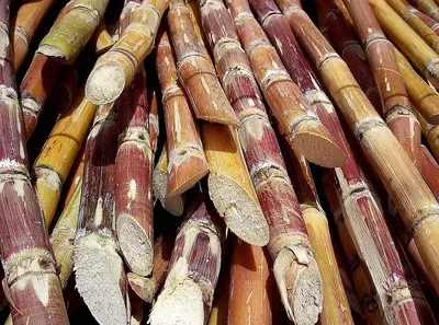 Textile reeds