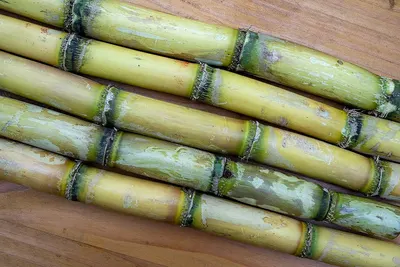 Exclusive 9x Bamboo Salt - Image 3
