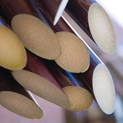 Fiberglass rods