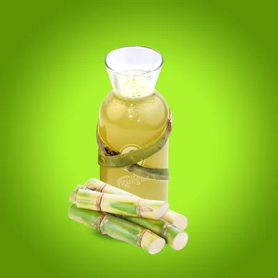 Moringa Stick