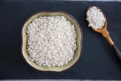 Yale Rice Crispy by Cv. Ksr Tulip