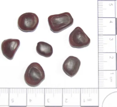Garnet Stones
