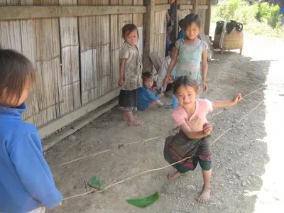 Flores Bajawa (Grade 1)